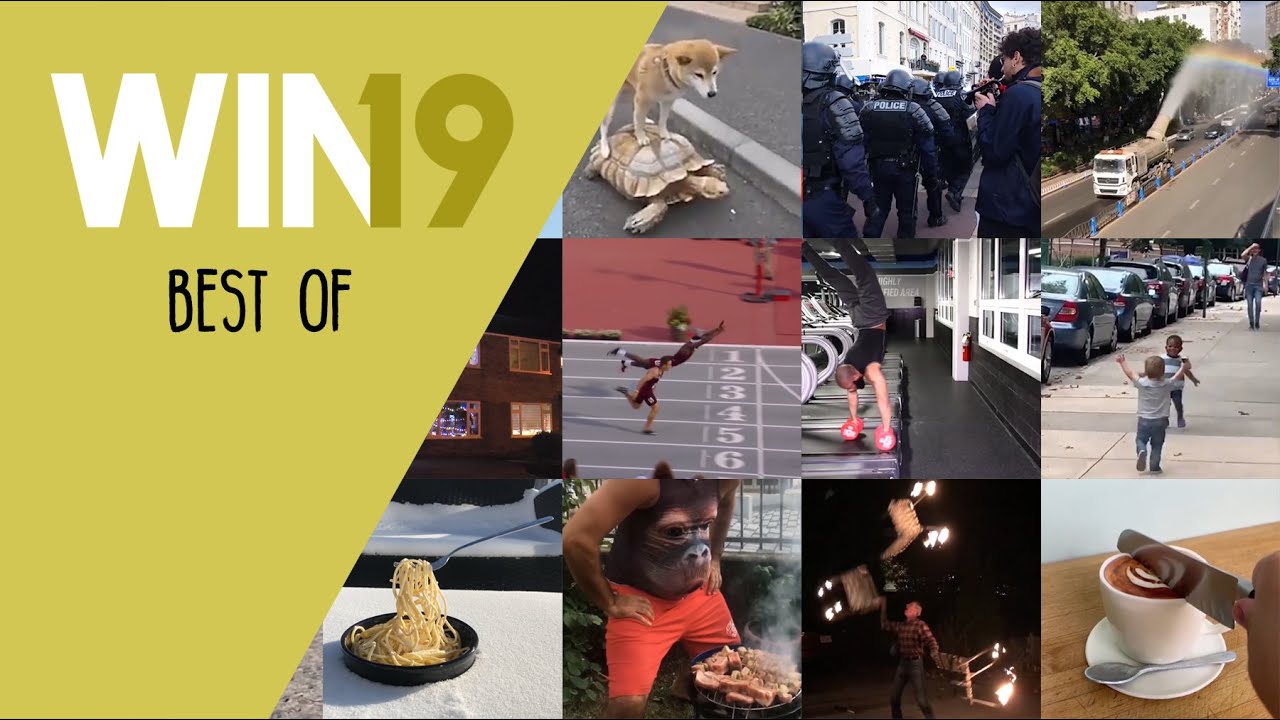 win compilation best of 2019